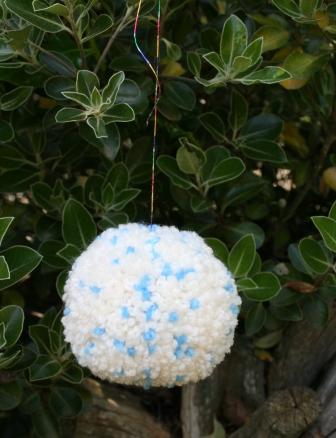 woolpompom woolpompom